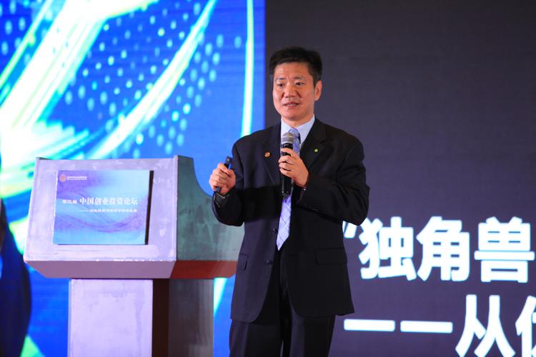 德勤华永会计师事务所合伙人,协会常务理事朱桉在第三届"中国创业投资